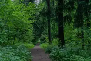Усадебное фуэте: из Москвы — в Талицы, Софрино и Абрамцево - 10