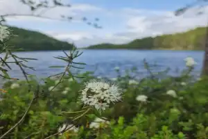По Карелии на джипах в своей компании: «Марциальные воды», Гирвас и мистическая гора Воттоваара - 6