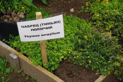 Прекрасный день в Смоленском Поозерье - 4