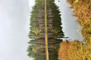 Ваш идеальный день в Карелии - 16