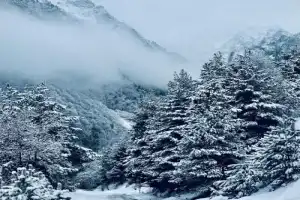 Из Владикавказа — в Цейское ущелье! - 14