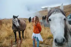 В горную Дигорию через Згид: авторская экскурсия