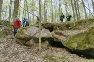 Томилинский лесопарк: подмосковная Карелия в Лыткарино Томилинский лесопарк: подмосковная Карелия в Лыткарино