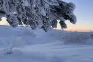 Кандалакша и Белое море с горы Волосяной — путешествие из Мурманска - 15