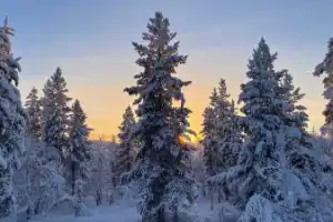 В саамскую деревню из Мурманска — к оленям, хаски и духам севера - 3