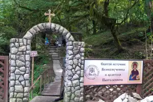 Солох-Аул: история и традиции чаеводства в Сочи - 6