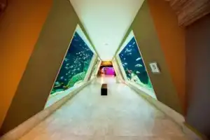 В гости к акулам и скатам: поездка в Istanbul Aquarium (трансфер и билеты включены) - 6
