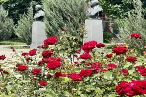 По следам Петра I в Астрахани - 7