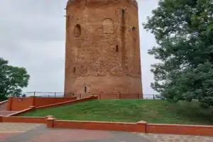 Беловежская пуща: по дороге к наследию предков — из Бреста - 7