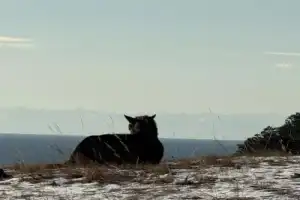 Красивейшее озеро Байкал - 11