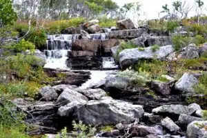 На полуострова Рыбачий и Средний — из Мурманска - 4