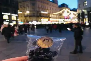 Прага — Вена: экскурсия в имперскую столицу - 5