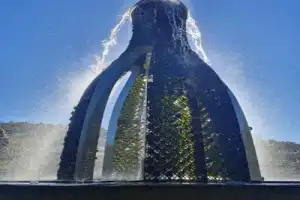 В Абрау-Дюрсо из Краснодара - 6