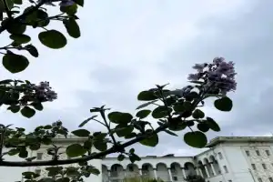 Прогулка по Махачкале - 5