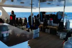 По Красному морю — на дайверской яхте - 17