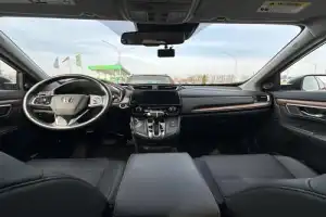 Трансфер из Бреста на экскурсию в Беловежскую пущу - 2