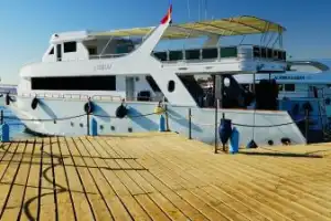 По Красному морю — на дайверской яхте - 14