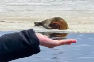 К Белому морю на остров Ягры - 12