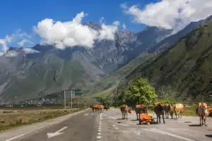 Путешествие по Военно-Грузинской дороге: от Тбилиси до Казбеги - 6