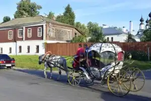 Прогулка по Суздалю: легко и нескучно! - 5