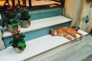 Стамбул, о котором вы не знали - 3