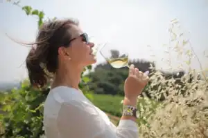 Винная экскурсия: Soave — вино любви - 6