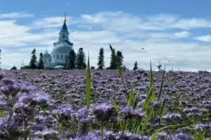 Валаам: водная прогулка к острову вдохновения - 4