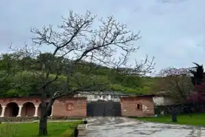 Большой день в Кахетии - 11