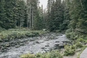 Два дня в Карелии: Валаам, «Рускеала» и поездка на ретропоезде - 4