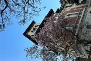 Барное знакомство с Миланом - 4