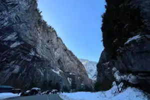 Озеро Рица и окрестности: экскурсия из Гагры - 9