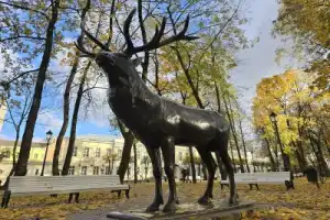 Смоленск на бегу - 4