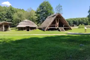 Трансфер из Бреста на экскурсии в Беловежскую пущу - 3