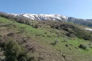 Чимган, Амирсой и Чарвакское водохранилище — из Ташкента - 6