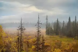 Фототур к самому Белому морю - 10