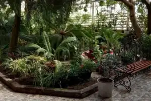 Уфа растительная: Ботанический сад, Музей леса и лимонарий за 3 часа