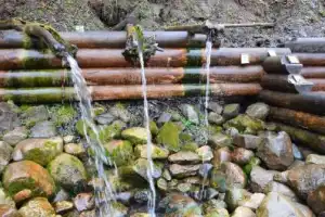 Дар святых источников: из Москвы в Сергиев Посад за очищением и обновлением Дар святых источников: из Москвы в Сергиев Посад за очищением и обновлением