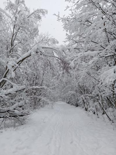 Карелия заповедная: прогулка по экотропе - 16