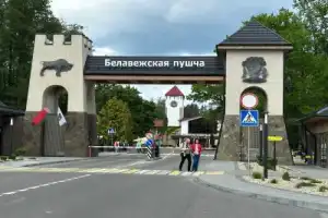 Трансфер из Бреста на экскурсию в Беловежскую пущу - 16