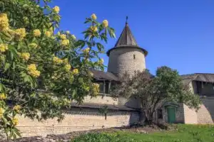 Свидание с Псковом каждый день Свидание с Псковом каждый день