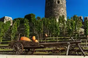 Древний край Самцхе-Джавахети: одна из колыбелей грузинской культуры - 9