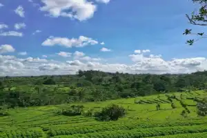 Сокровища Убуда - 4