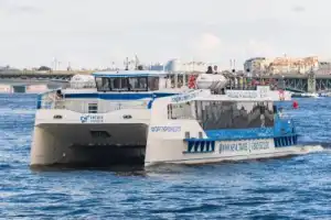 Метеор из Санкт-Петербурга в Петергоф - 8