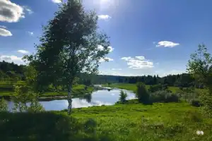 Треккинг по лесу в компании хаски - 3