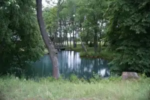 Путешествие по Могилёвщине, где история и природа не перестают удивлять Путешествие по Могилёвщине, где история и природа не перестают удивлять