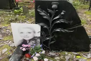 Из Петербурга в Комарово: обитель муз и гениев (в уютной мини группе) - 17