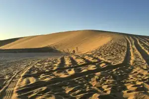 Сафари из Дохи — к Хор-аль-Адаид - 5