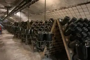 Абрау-Дюрсо в мини-группе (из Анапы) - 22