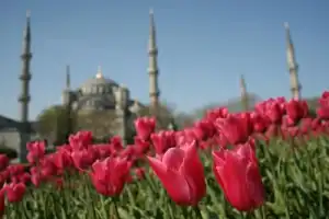 Топовые места Стамбула Топовые места Стамбула