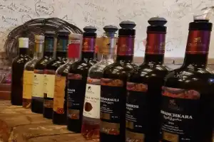 Винное приключение по Кахетии: Сигнахи, монастырь Бодбе, Телави - 10